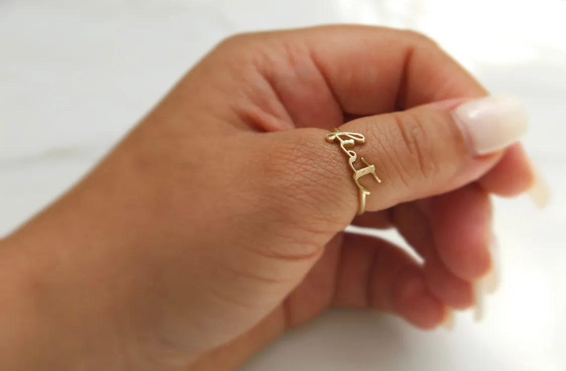 Fiat Ring in 14k Gold
